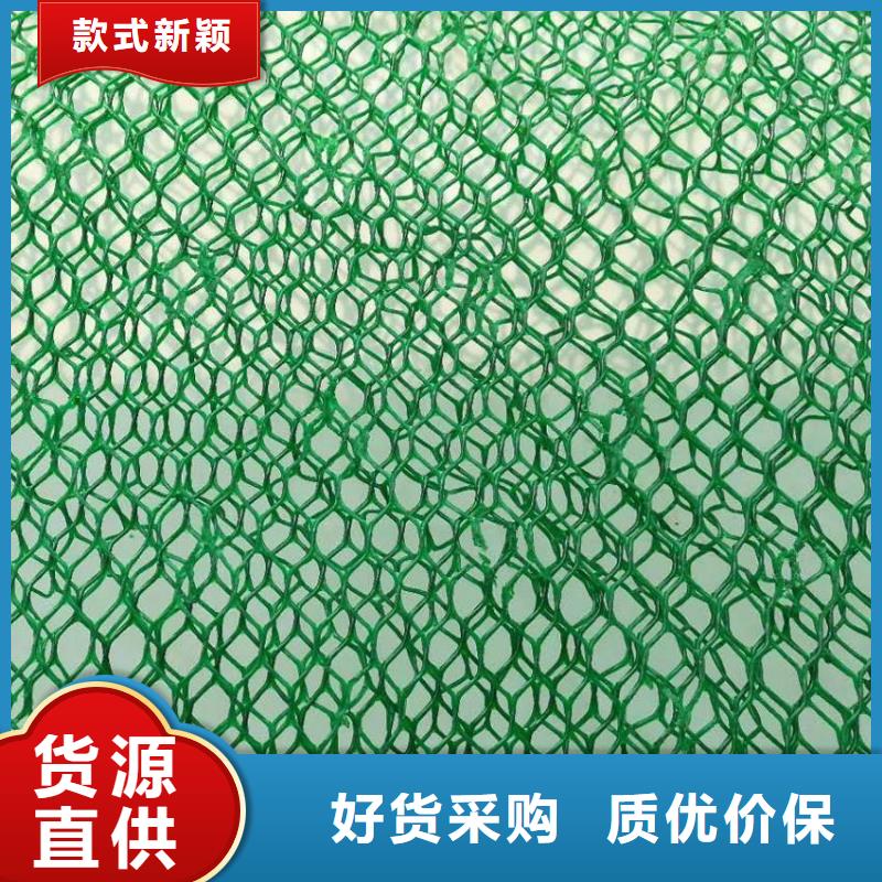 三维植被网,三维土工网垫严格把控每一处细节