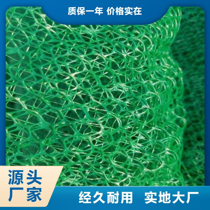 【三维植被网】软式透水管随到随提