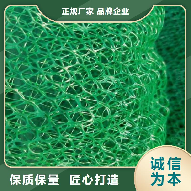 水土保护毯视频-水土保护毯|江西省新余市|分宜|渝水|抚州|宜春|九江|赣州|吉安|景德镇