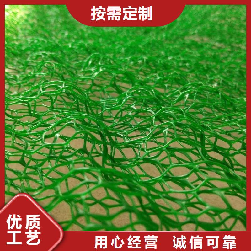 三维植被网钢塑土工格栅供应采购