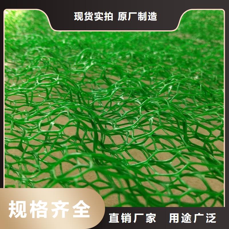 水土保护毯视频-新疆鼎诺水土保护毯可服务区域伊犁|乌鲁木齐|克拉玛依等