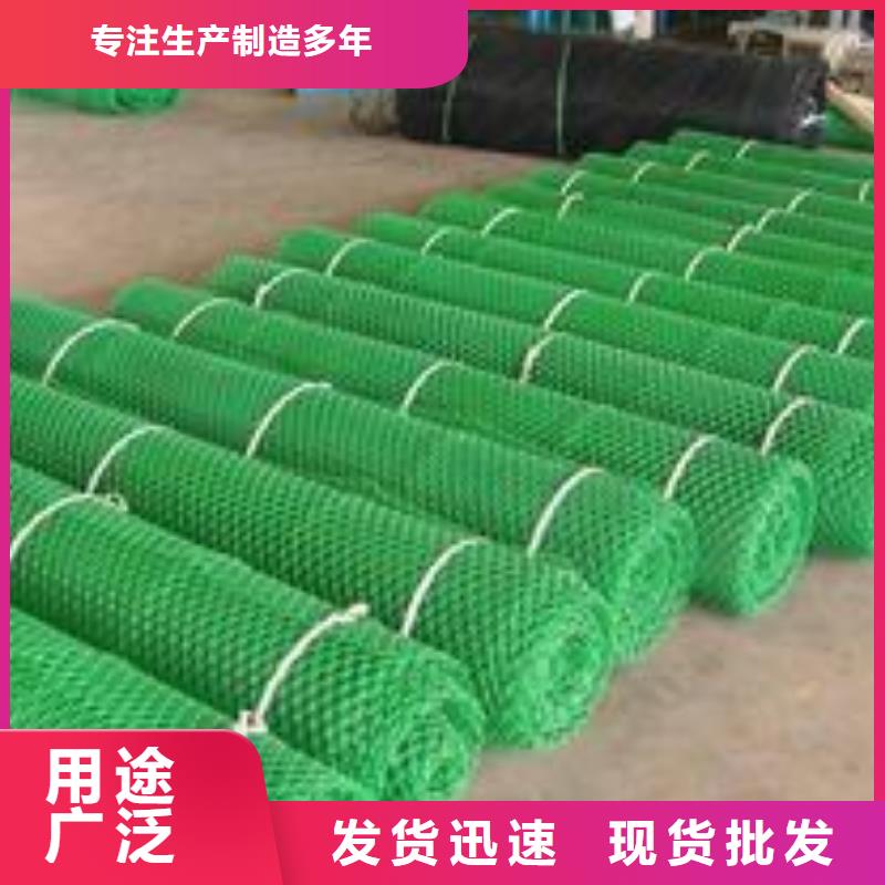 三维植被网玻纤土工格栅应用范围广泛