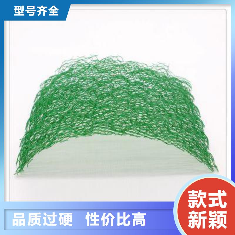 三维植被网-三维复合排水网本地配送