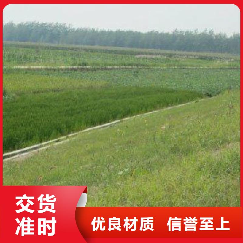 三维植被网玻纤土工格栅应用范围广泛