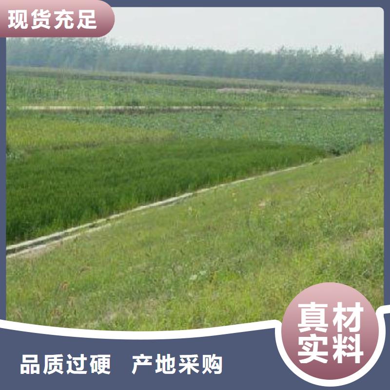 【三维植被网】软式透水管随到随提