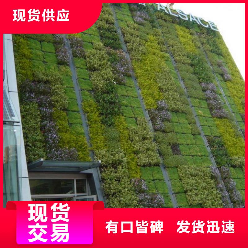 水土保护毯视频-新疆鼎诺水土保护毯可服务区域伊犁|乌鲁木齐|克拉玛依等