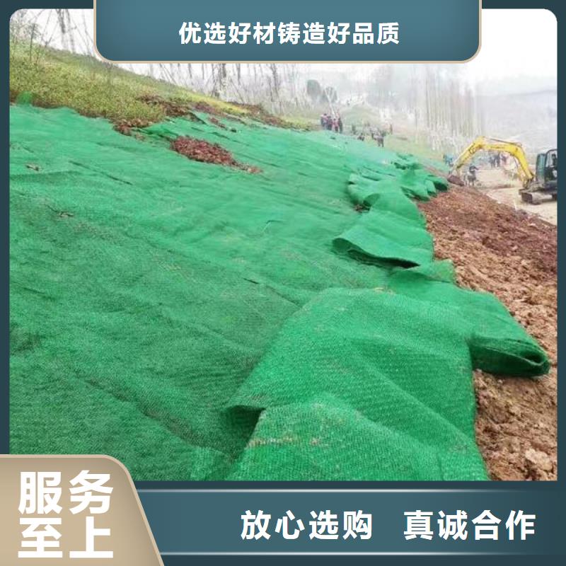 水土保护毯视频-新疆鼎诺水土保护毯可服务区域伊犁|乌鲁木齐|克拉玛依等