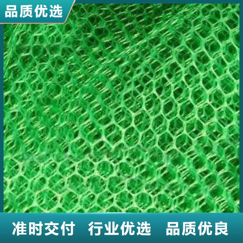 三维植被网钢塑土工格栅供应采购
