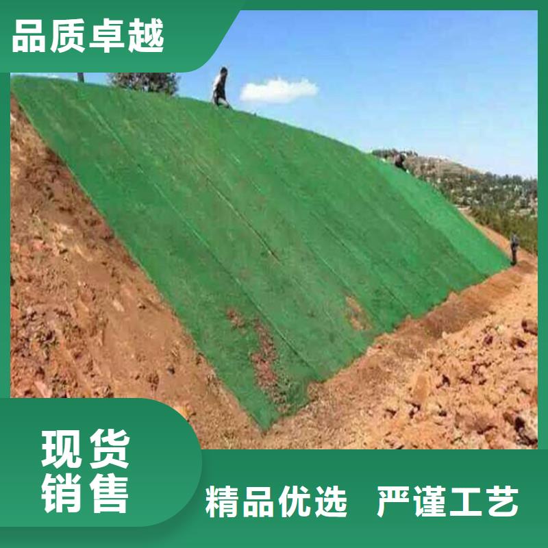 三维植被网钢塑土工格栅工厂自营