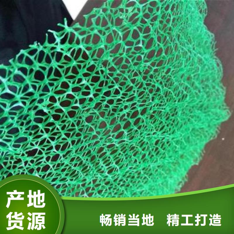 【三维植被网】软式透水管随到随提