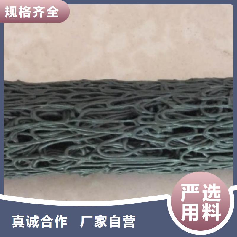塑料盲沟水土保护毯货源充足