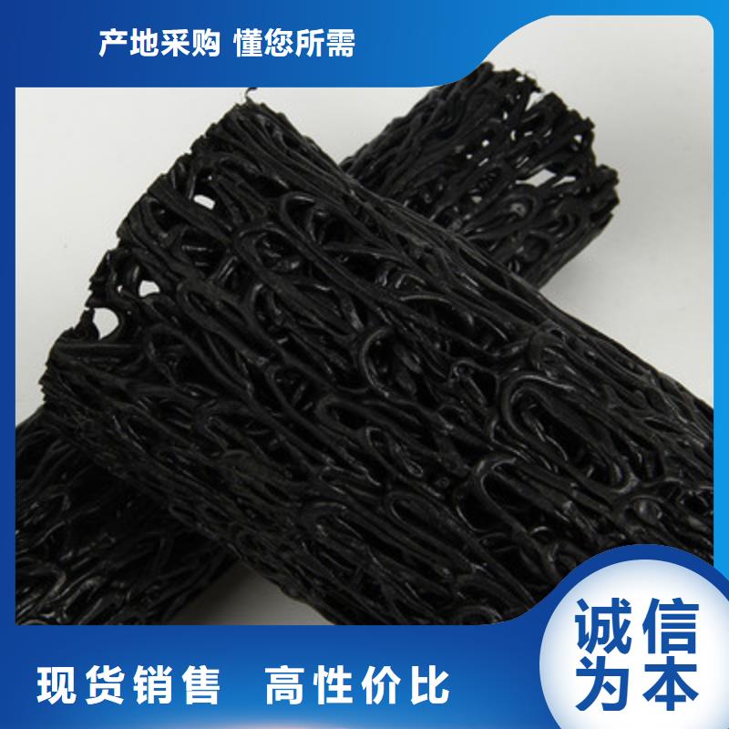 【塑料盲沟】三维复合排水网厂家直发