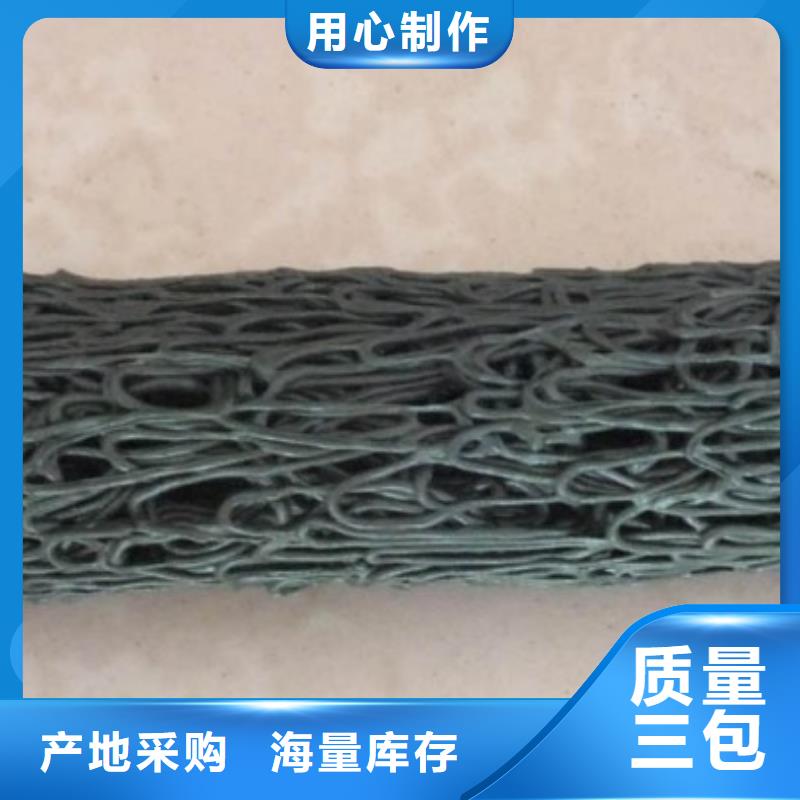 塑料盲沟涤纶土工格栅好厂家有担当