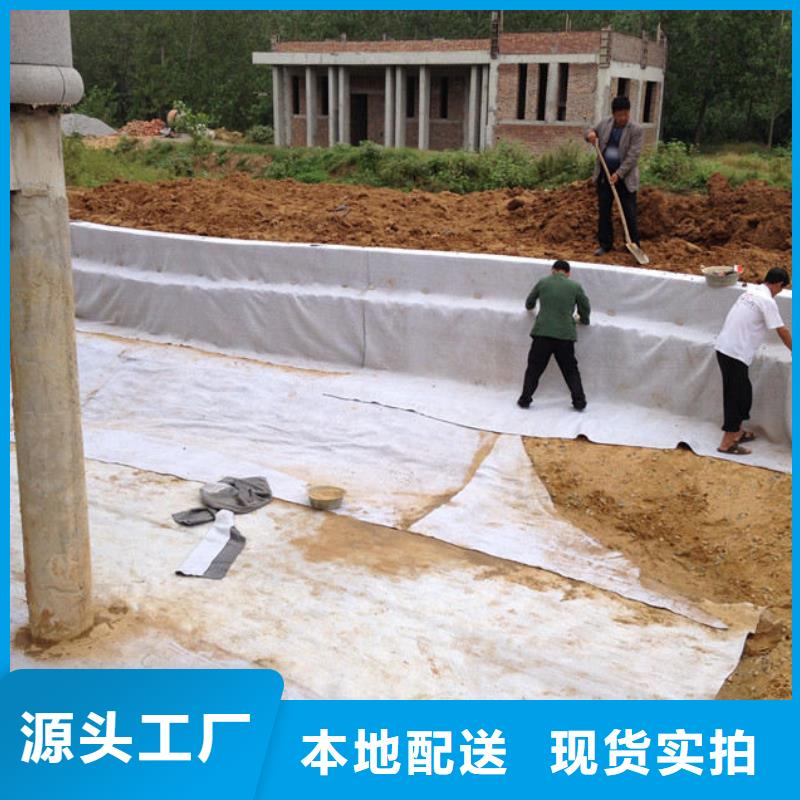 水土保护毯视频-河南省驻马店市|上蔡|新蔡|开封|焦作|洛阳|三门峡水土保护毯-鼎诺