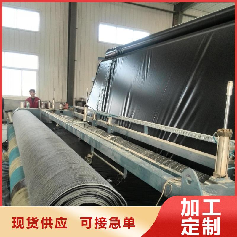 膨润土防水毯护坡土工网精选货源