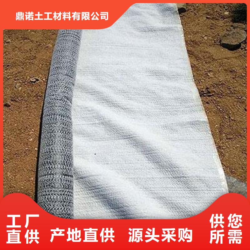 膨润土防水毯-玻纤土工格栅精品优选