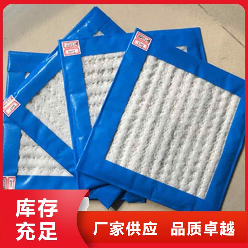 膨润土防水毯护坡土工网精选货源