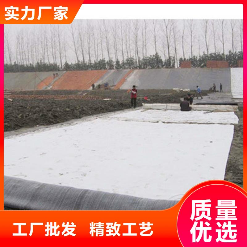 膨润土防水毯【土工席垫】用的放心