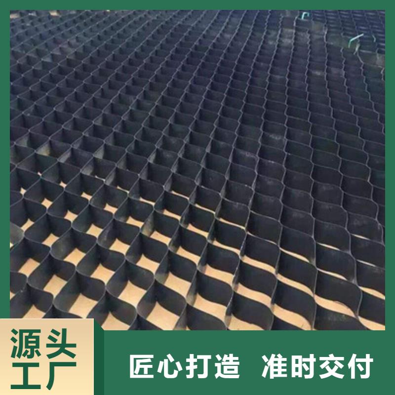 土工格室三维植被网严选材质