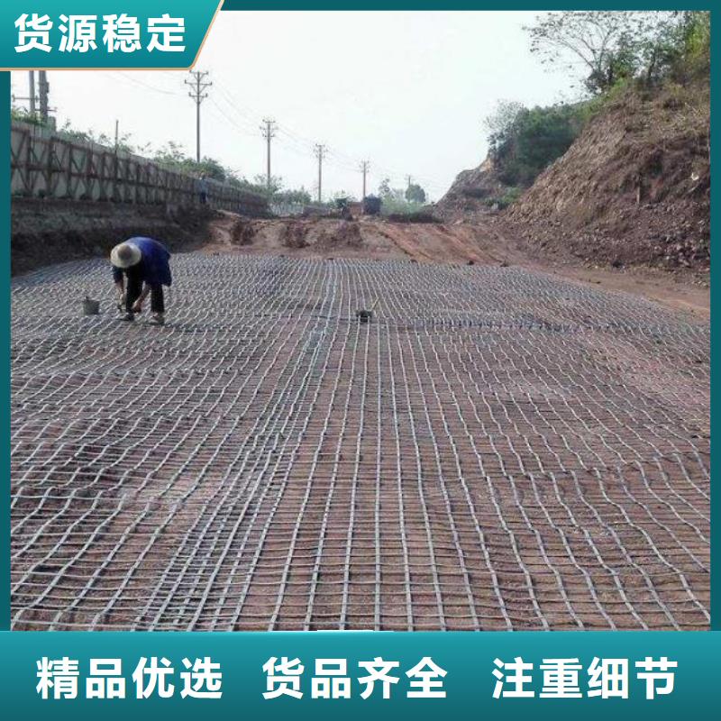 厂家钢塑土工格栅 【双向塑料土工格栅】根据要求定制