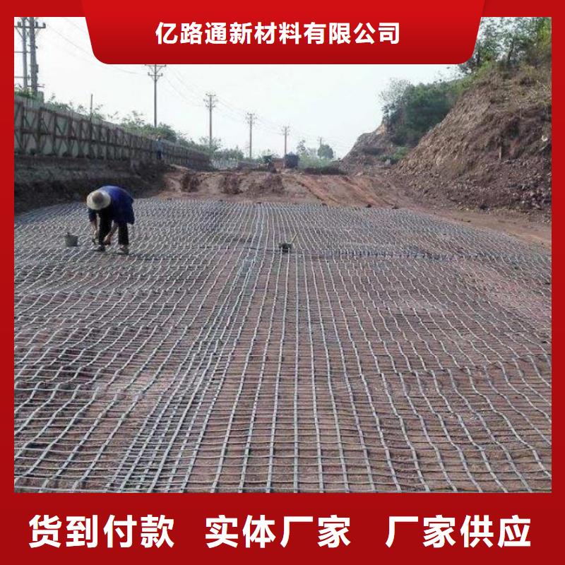 钢塑土工格栅土工布批发联系厂家