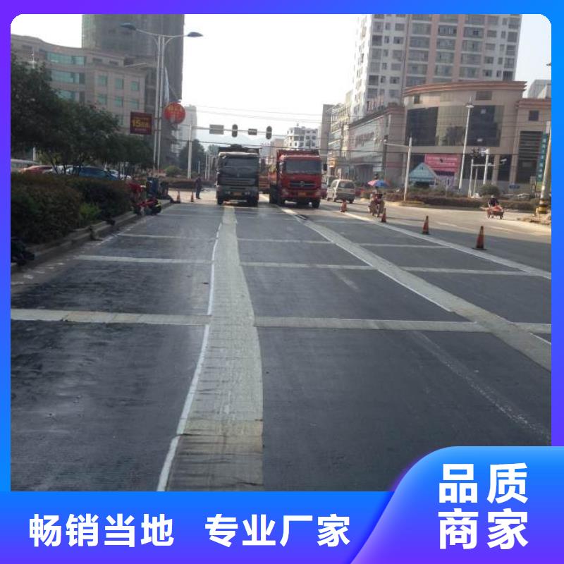 钢塑土工格栅土工布批发联系厂家