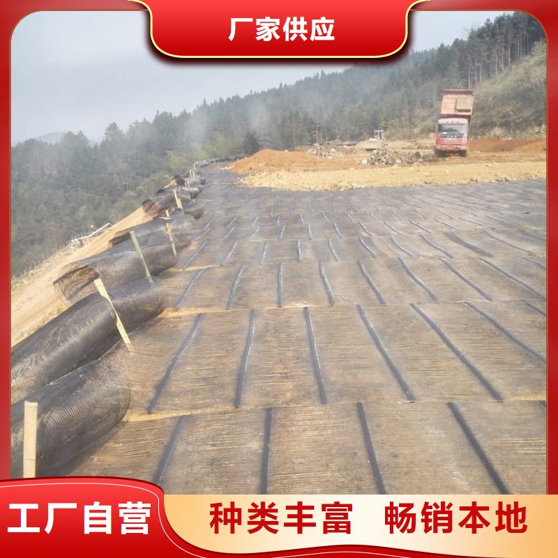 钢塑土工格栅凸结点钢塑土工格栅海量货源
