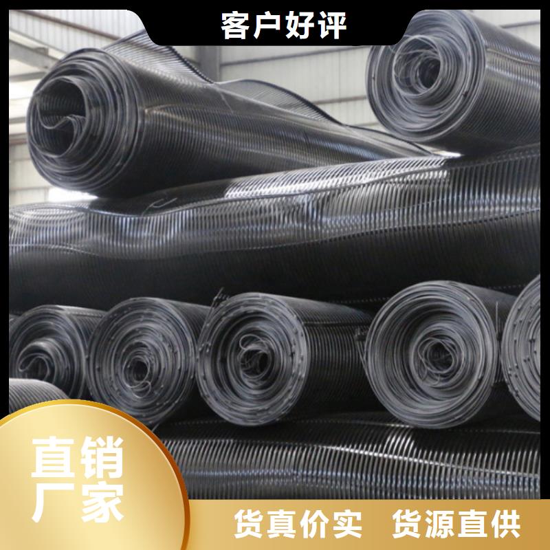 厂家钢塑土工格栅 【双向塑料土工格栅】根据要求定制