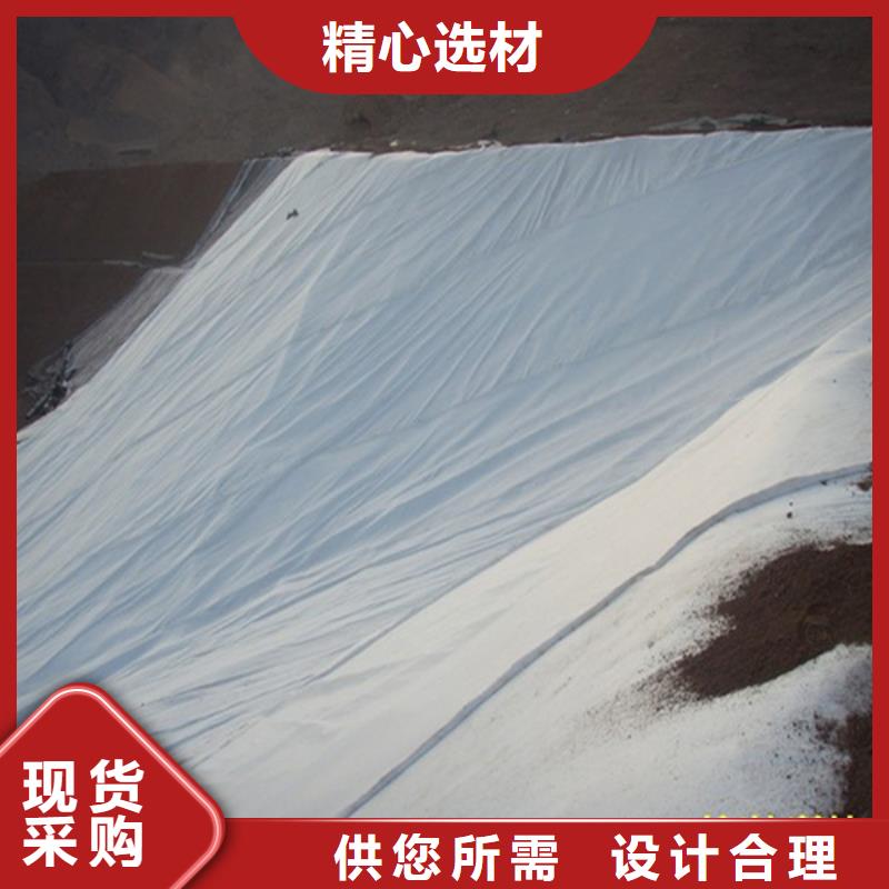 玻璃纤维土工格栅视频-汕头市玻璃纤维土工格栅-(本地)可服务区域濠江|潮南|梅州|湛江|潮州|阳江|揭阳