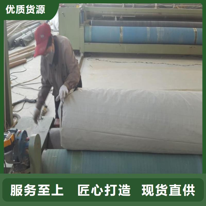 土工布-涤纶土工格栅质量上乘