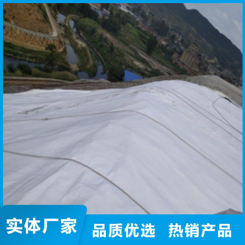 土工布-钢塑土工格栅厂家欢迎来电咨询