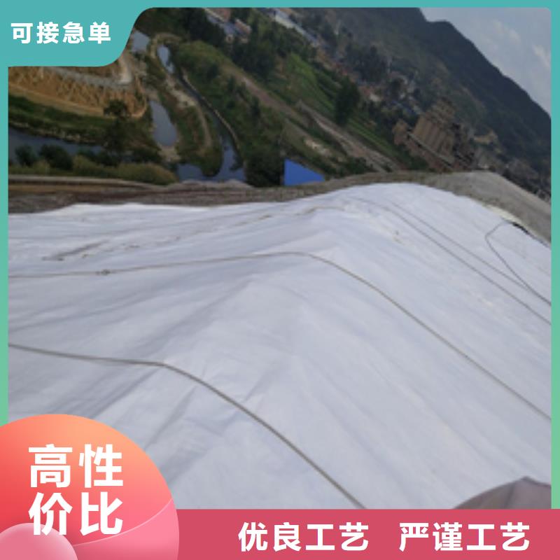 土工布_【三维植被网厂家】高品质诚信厂家亿路通玻璃纤维土工格栅