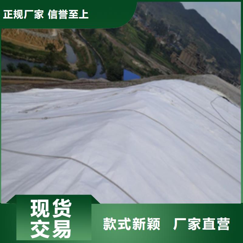 土工布钢塑土工格栅厂家库存丰富