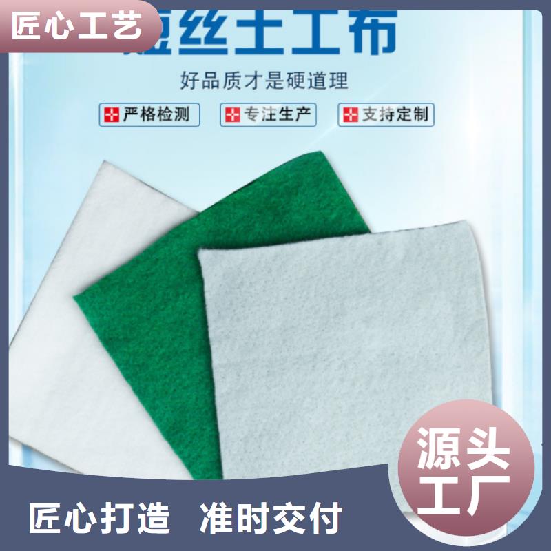 玻璃纤维土工格栅视频-汕头市玻璃纤维土工格栅-(本地)可服务区域濠江|潮南|梅州|湛江|潮州|阳江|揭阳