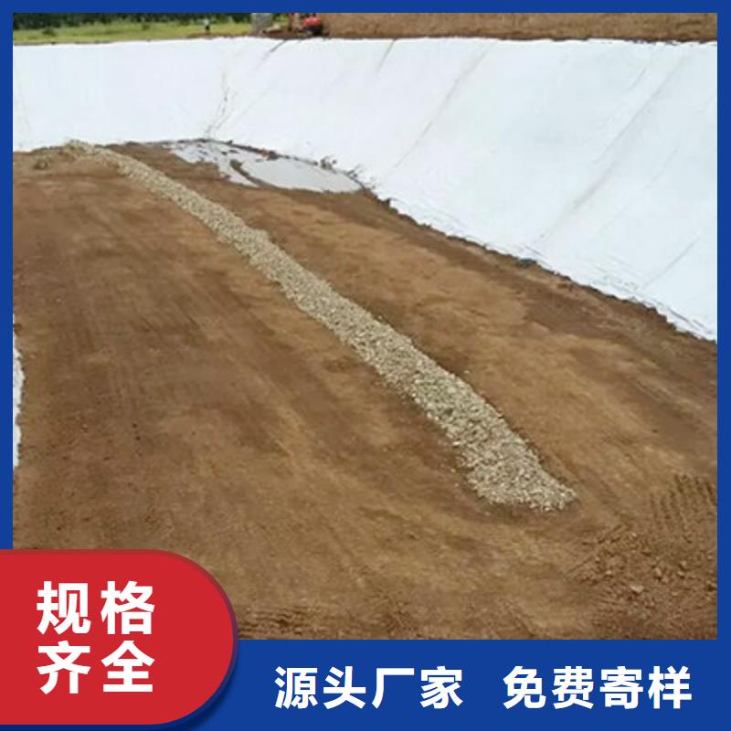 玻璃纤维土工格栅视频-汕头市玻璃纤维土工格栅-(本地)可服务区域濠江|潮南|梅州|湛江|潮州|阳江|揭阳