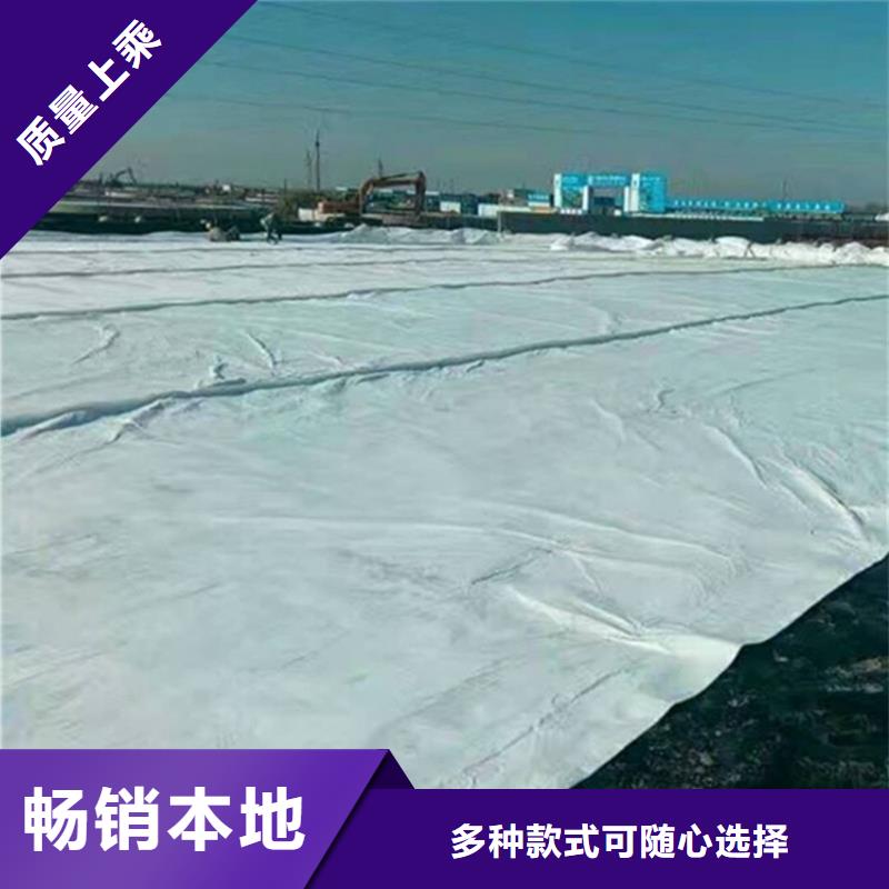 土工布钢塑土工格栅厂家库存丰富