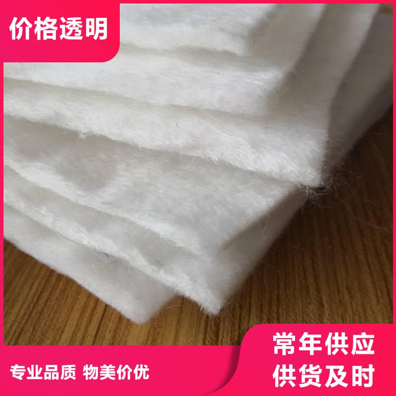 玻璃纤维土工格栅视频-汕头市玻璃纤维土工格栅-(本地)可服务区域濠江|潮南|梅州|湛江|潮州|阳江|揭阳