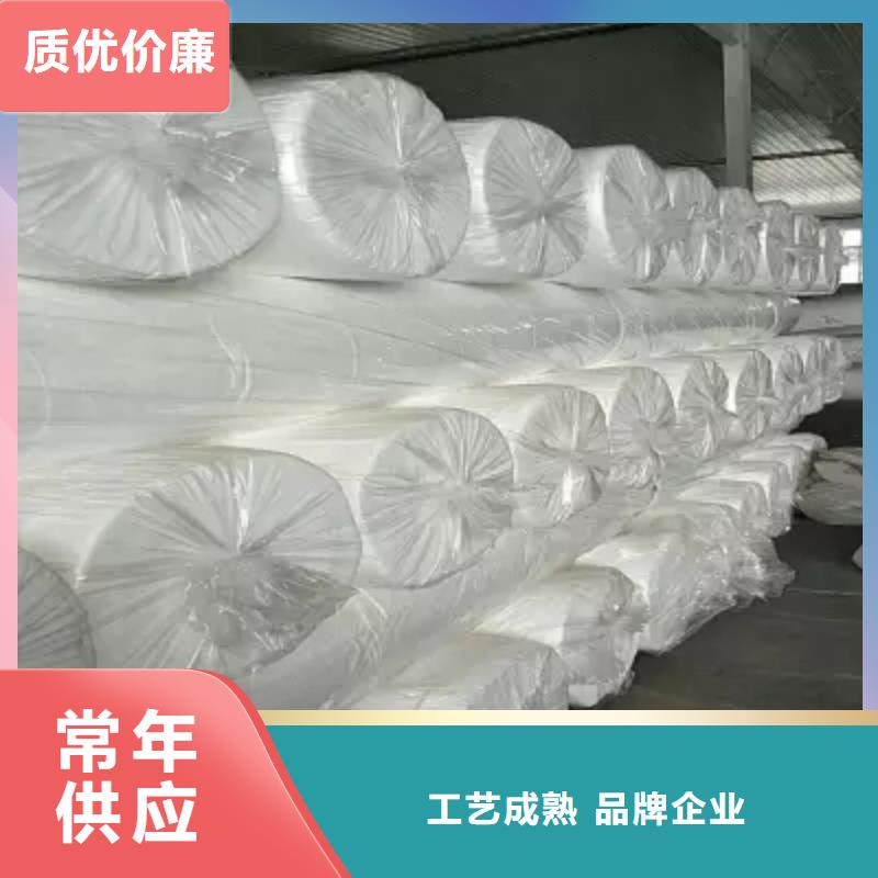 土工布凸结点钢塑土工格栅可接急单