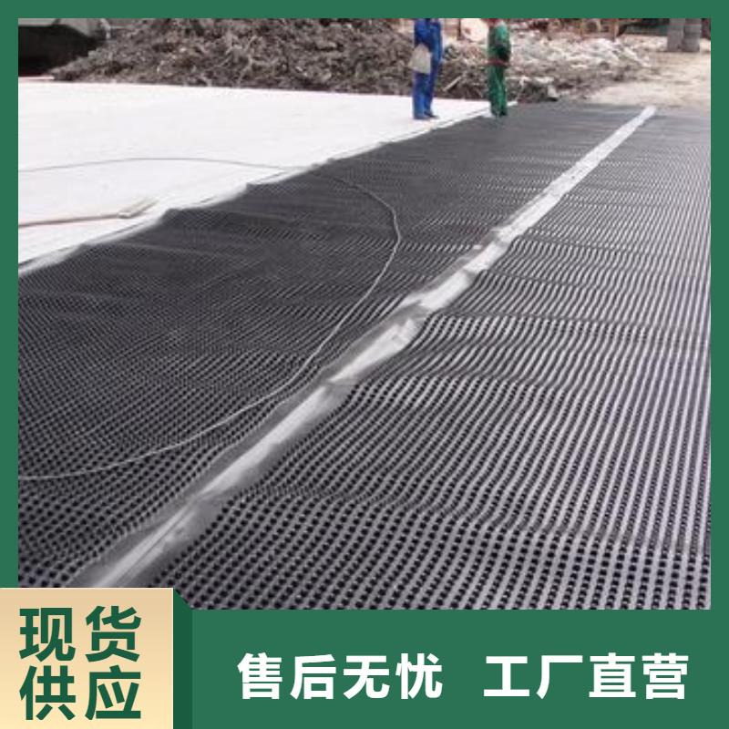塑料排水板-【钢塑土工格栅厂家】供应采购 亿路通新材料(三亚市分公司)