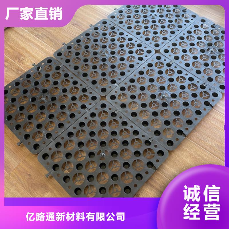 塑料排水板三维水土保护毯物流配货上门