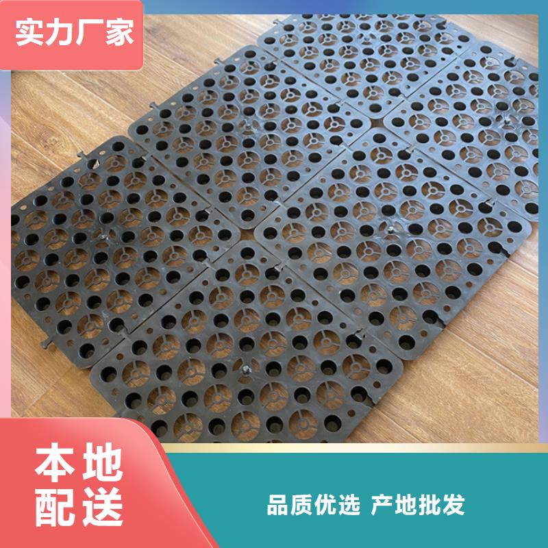 玻璃纤维土工格栅视频-玻璃纤维土工格栅-甘肃省临夏市广河|和政|武威|庆阳|平凉|定西|兰州(同城)经销商