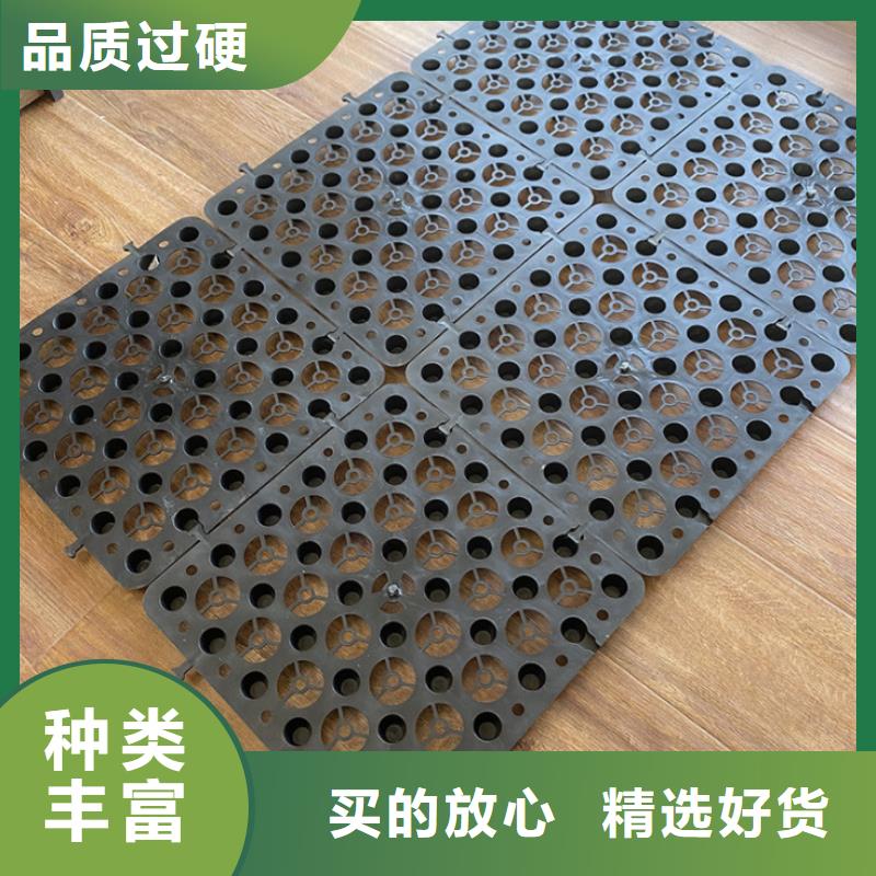 塑料排水板复合土工膜好货直供
