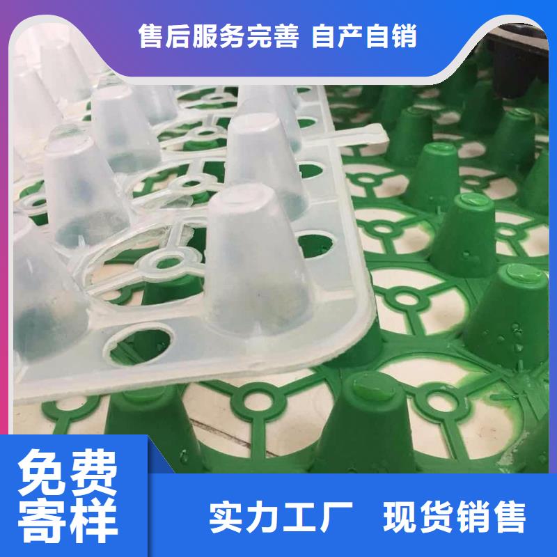 塑料排水板-【钢塑土工格栅厂家】供应采购 亿路通新材料(三亚市分公司)