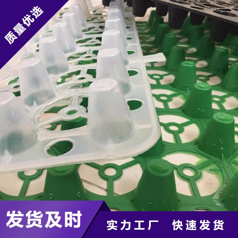 玻璃纤维土工格栅视频-玻璃纤维土工格栅-甘肃省临夏市广河|和政|武威|庆阳|平凉|定西|兰州(同城)经销商