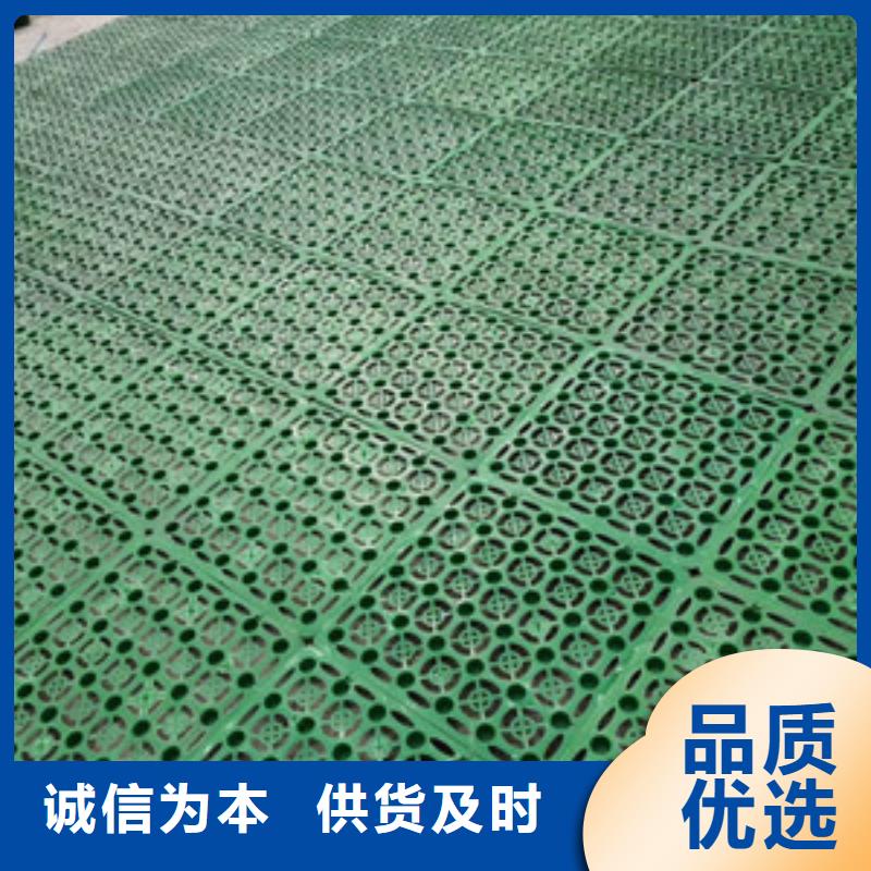 【塑料排水板】,土工布批发专注质量-亿路通新材料(阜新市分公司)-诚信商务网