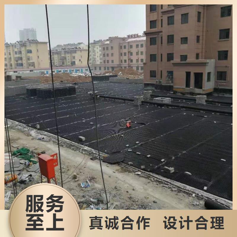 塑料排水板三维土工网垫售后服务完善