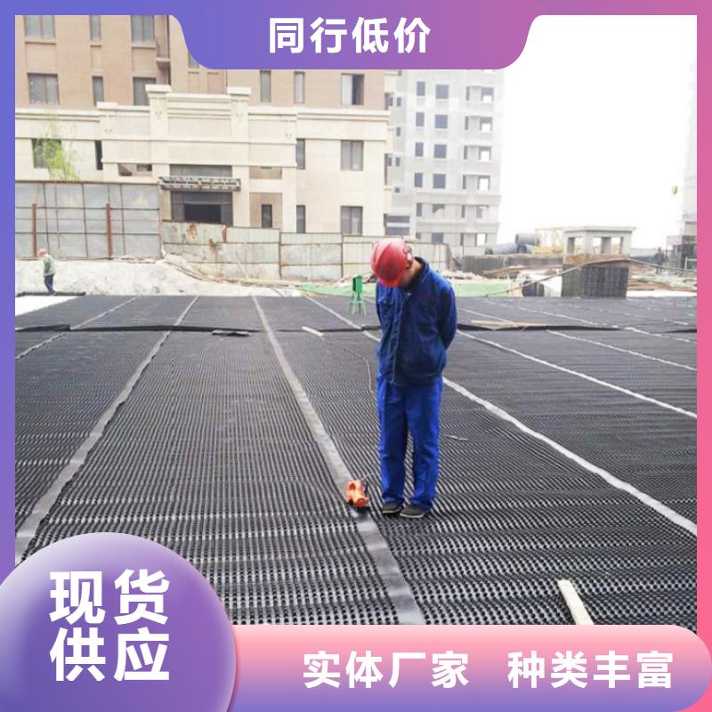 塑料排水板三维植被网厂家批发货源