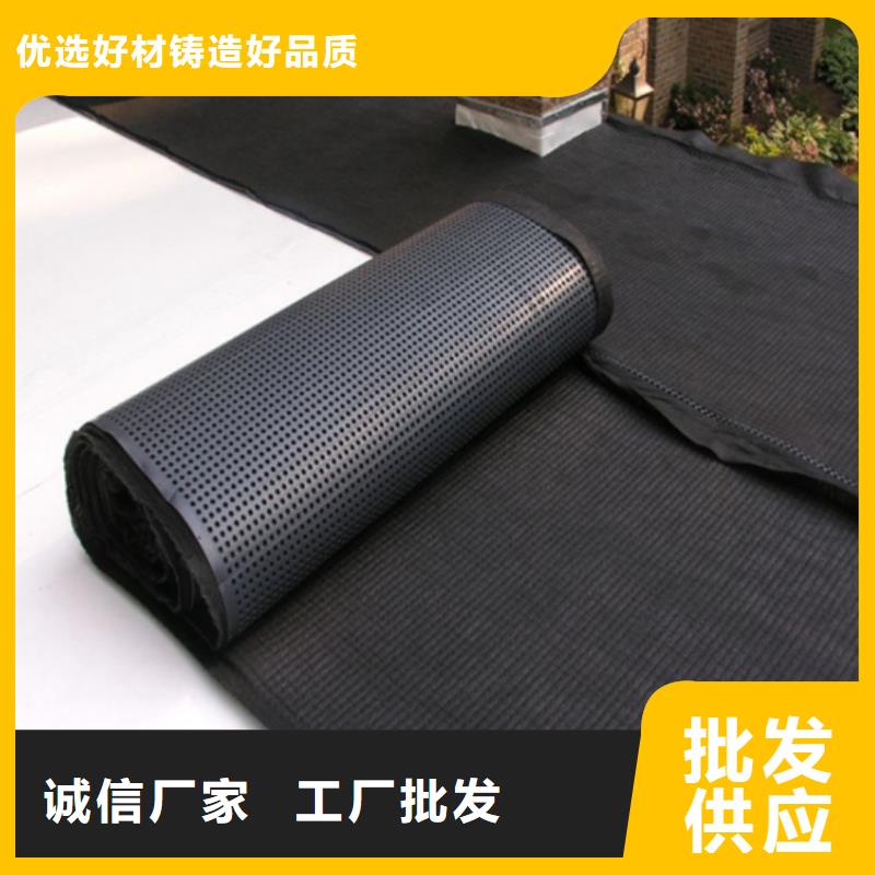 塑料排水板-【钢塑土工格栅厂家】供应采购 亿路通新材料(三亚市分公司)