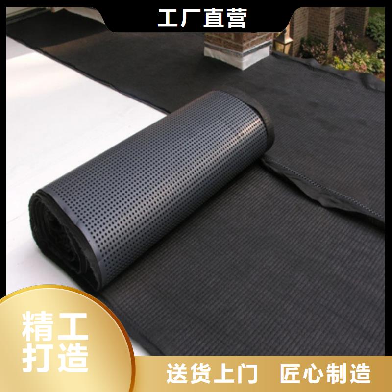 塑料排水板护坡土工网客户信赖的厂家