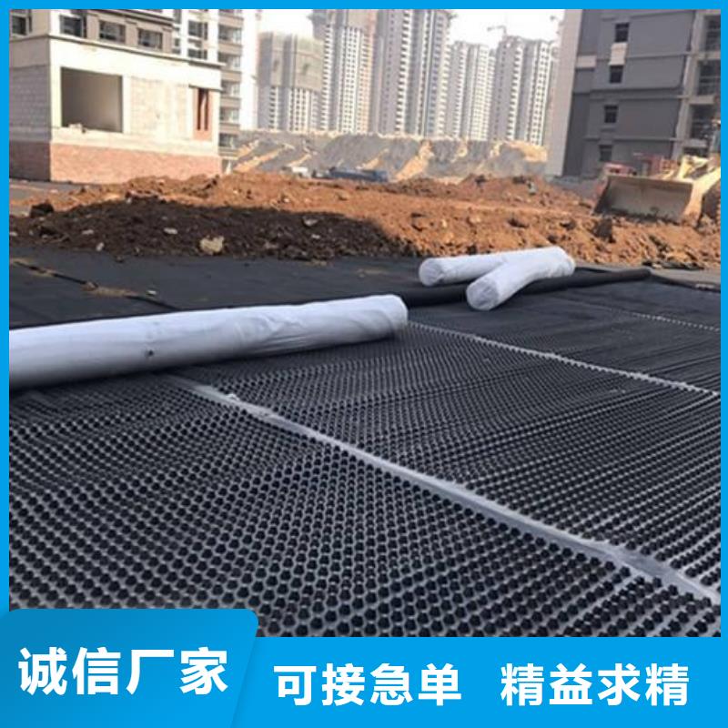 塑料排水板三维土工网垫售后服务完善